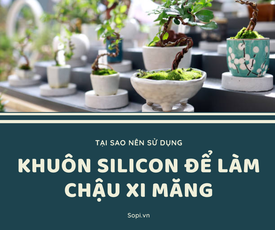 Tại sao nên sử dụng khuôn silicon để làm chậu cảnh