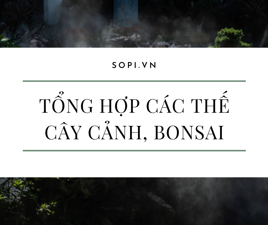 Tổng hợp các thế cây cảnh, bonsai